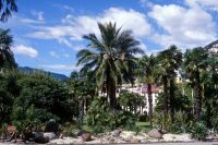 locarno-15